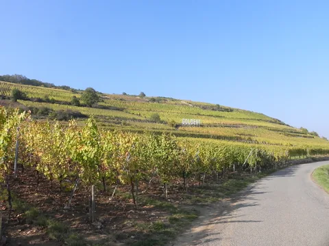 Alsace med Cathriine og Karsten.