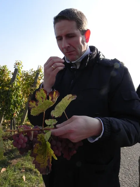 Alsace med Cathriine og Karsten.