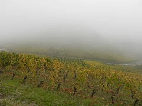 Alsace med Cathriine og Karsten.
