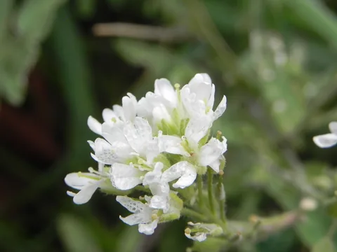 Alsace med Cathriine og Karsten.