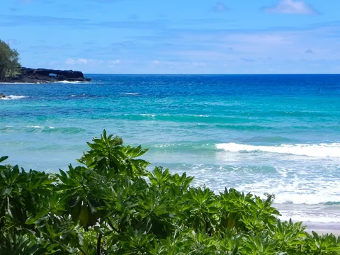 På.tur ad den berømte Road to Hana på vej til, du gættede det, Hana, Maui, Hawaii. Hvis man har tendens til køresyge, så overvej lige en ekstra gang, for vejen er snoet, meget snoet, og meget lang, men man belønnes med smuk natur hele vejen.