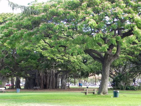 Honolulu, O'ahu, Hawaii