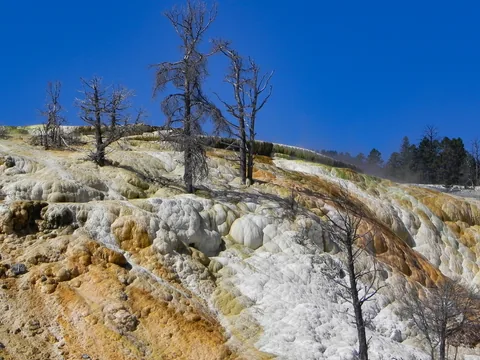 Yellowstone National Parl, Wyoming, USA. Det mest fantastiske og magiske sted i verden, med vandfald, geysere, vilde bjørne, ulve, elge og meget mere. Prøv det en gang, og du bliver afhængig.