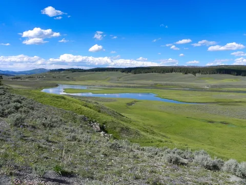 Yellowstone National Parl, Wyoming, USA. Det mest fantastiske og magiske sted i verden, med vandfald, geysere, vilde bjørne, ulve, elge og meget mere. Prøv det en gang, og du bliver afhængig.