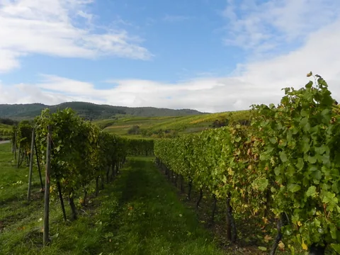 2012-10 Alsace