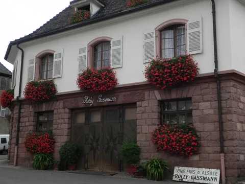 Besøg og smagning hos Rolly Gassmann, Rorschwihr, Alsace, Frankrig