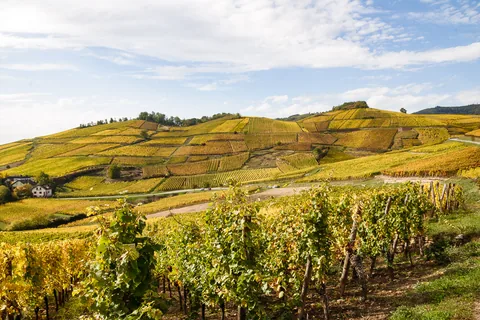 Grand Cru Brand, Turckheim, Alsace, Frankrig