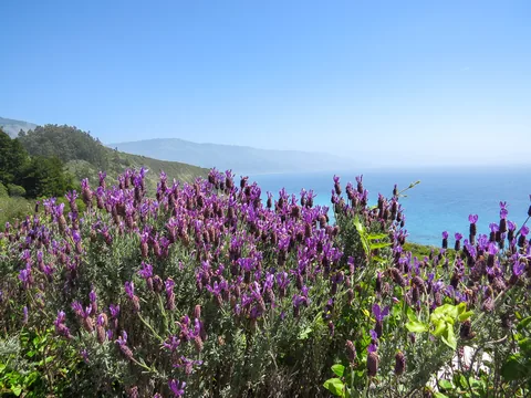 Highway 1, Californien, USA