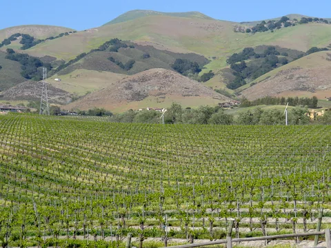 Chamisal Winery, Californien, USA