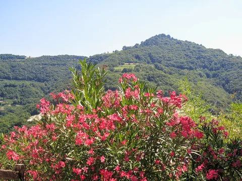 Italien