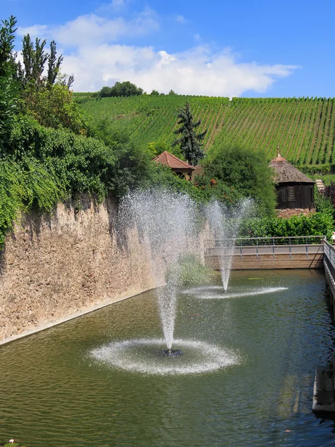 Alsace, Frankrig