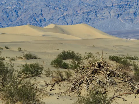 Death Valley, Californien, USA