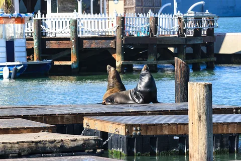 Pier 39, San Francisco, USA