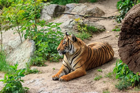 Berlin Zoo, Berlin, Tyskland