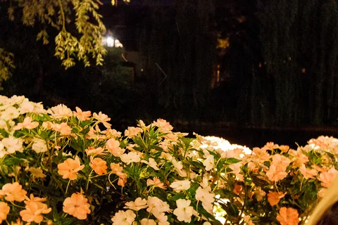 20150723-231951-01_C07D