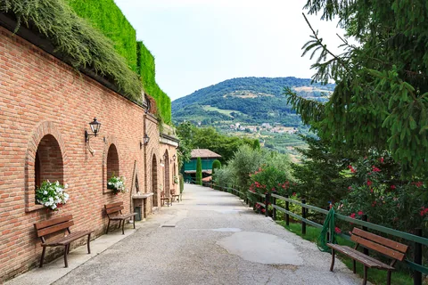 Tenuta Chiccheri, Veneto, USA