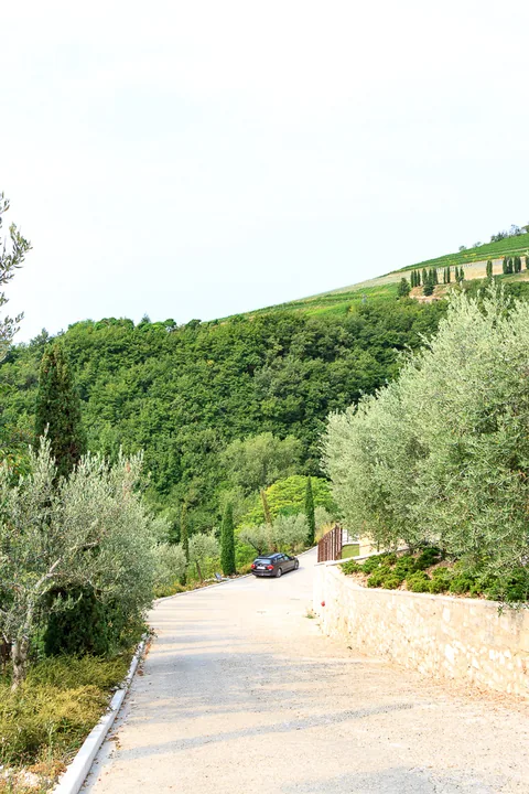 Tenuta Chiccheri, Veneto, USA
