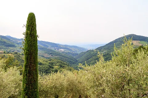 Tenuta Chiccheri, Veneto, USA
