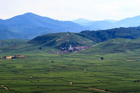 Alsace, Frankrig