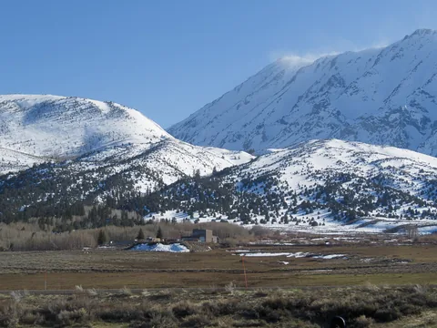 På vej mod Mammoth Lakes, det bliver koldere og koldere.