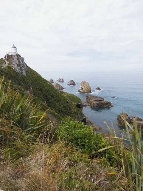 Nuggett Point Lighthouse, South Island, New Zealand