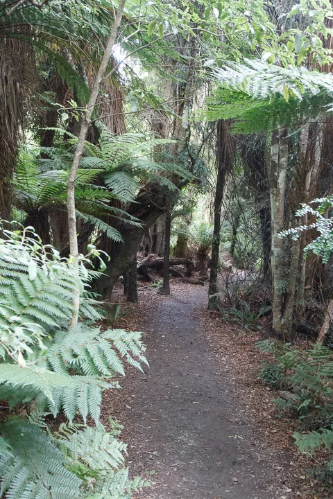 Cathedral Caves, South Island, New Zealand