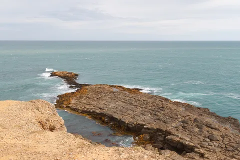 Det sydligste punkt på sydøen, Slope Point, South Island, New Zealand