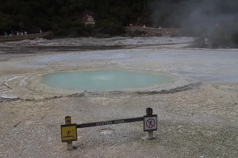 Waiotapu Thermal Park, North Island, New Zealand
