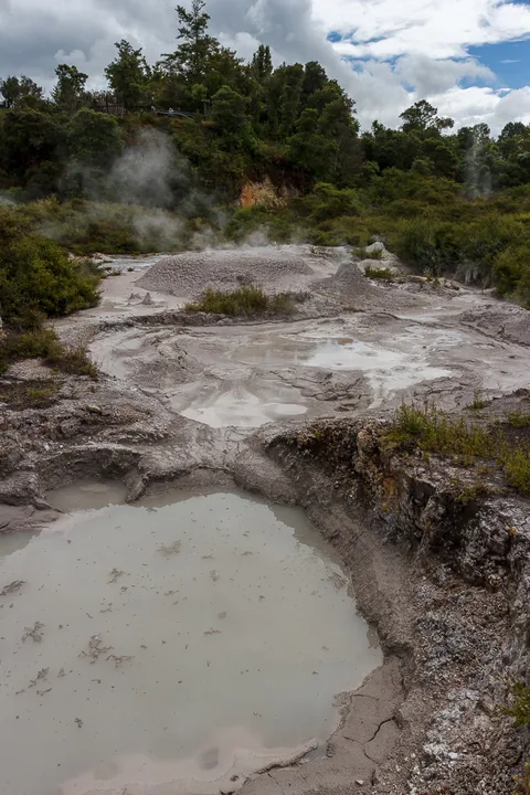 Rotorua, North Island, New Zealand