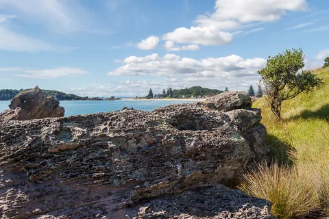 Mount Maunganui, North Island, New Zealand