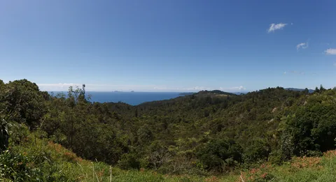 Whenuakite Kiwi Viewpoint, North Island, New Zealand