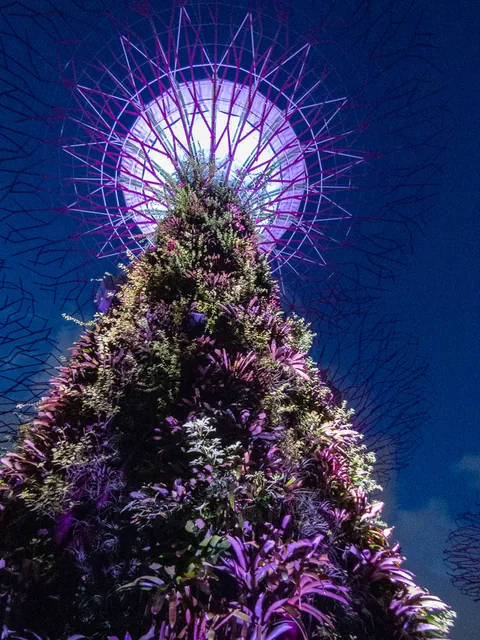Gardens by the Bay, Singapore