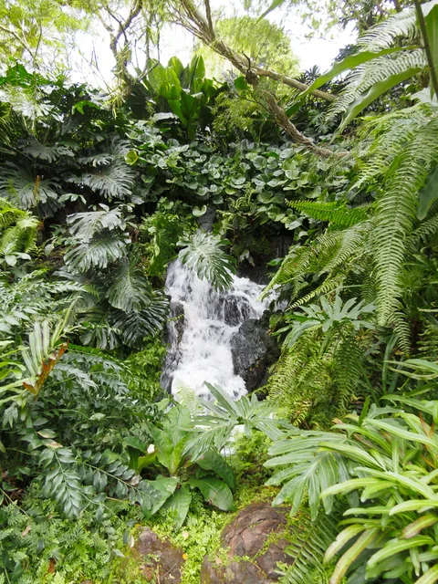 National Orchid Garden, Singapore