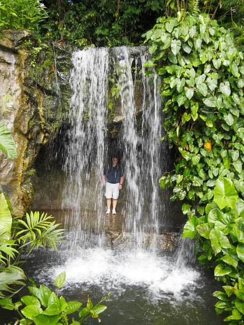 National Orchid Garden, Singapore