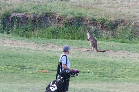 Stirling Golf Club, South Autralia, Australien
