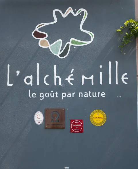 2018-07-25 L'Alchemille