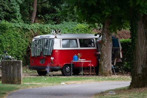 Doktor Livingstone er ankommet til campingpladsen i Alsace