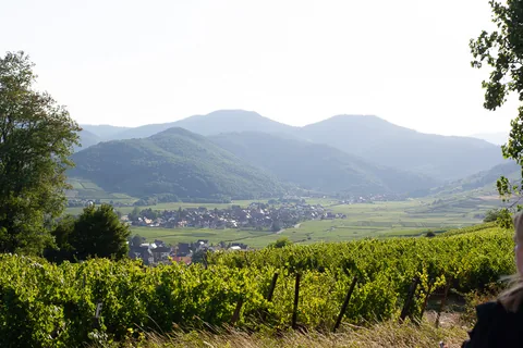 Skønne dejlige Alsace