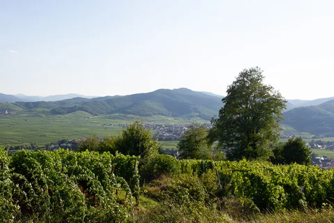 Skønne dejlige Alsace