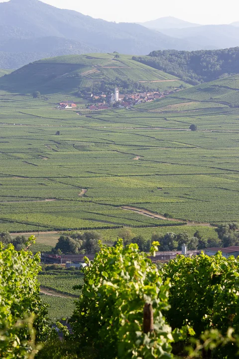 Skønne dejlige Alsace