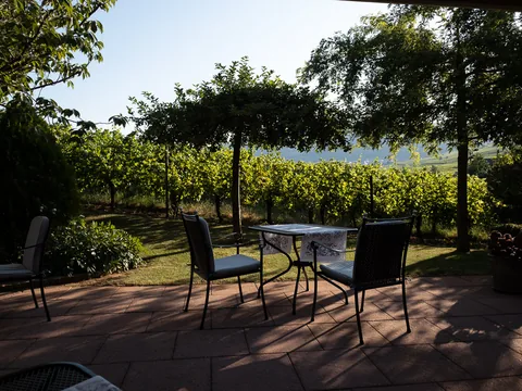 Middag på Le Maximillien, Zellenberg, Alsace, Frankrig