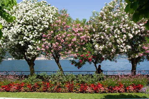 Bellagio, Como, Italien