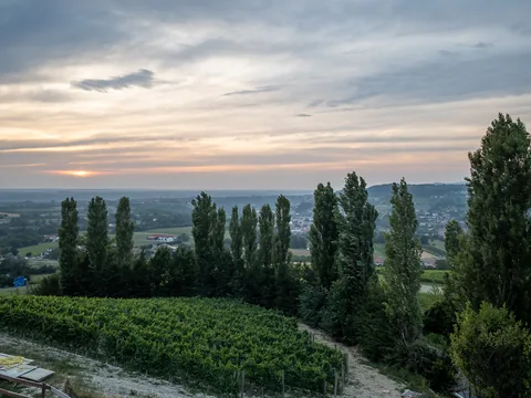Poderi Luigi Einaudi, Dogliani, Piemonte, Italien