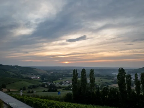 Poderi Luigi Einaudi, Dogliani, Piemonte, Italien