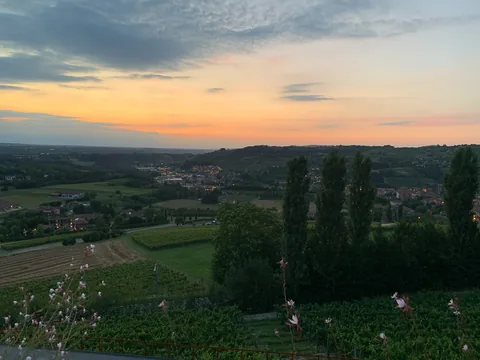 Poderi Luigi Einaudi, Dogliani, Piemonte, Italien