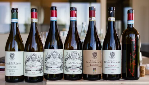 Poderi Luigi Einaudi, Dogliani, Piemonte, Italien