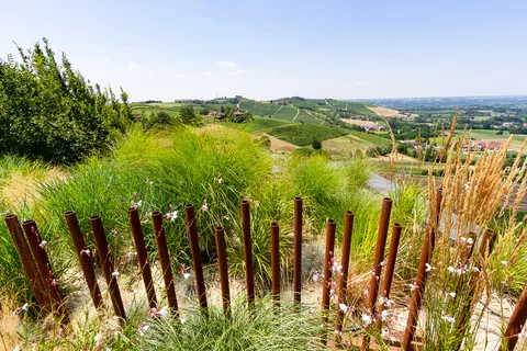 Poderi Luigi Einaudi, Dogliani, Piemonte, Italien