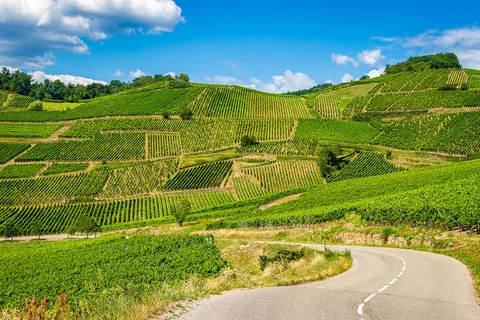 Grand Cru Brand, Turckheim, Alsace