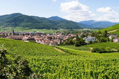 Grand Cru Brand, Turckheim, Alsace
