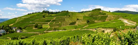 Grand Cru Brand, Turckheim, Alsace